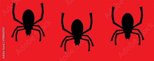 Spider Web Vector With Spider, Black silhouette