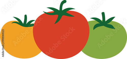 Set of fresh colorful tomatoes in red yellow and green colors for healthy organic food branding farmers market and vegetarian cooking concepts