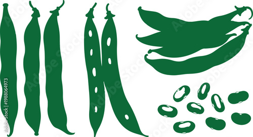 Set of green pea and bean pod silhouettes for organic vegetable farming healthy nutrition and vegan food product packaging design