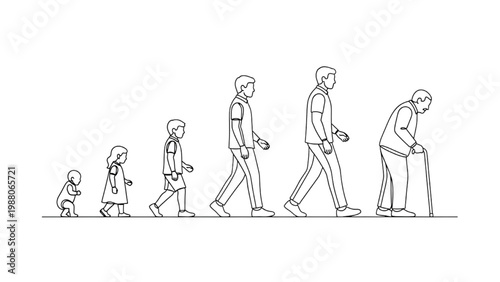 Continuous line drawing of human evolution stages from crawling to old age