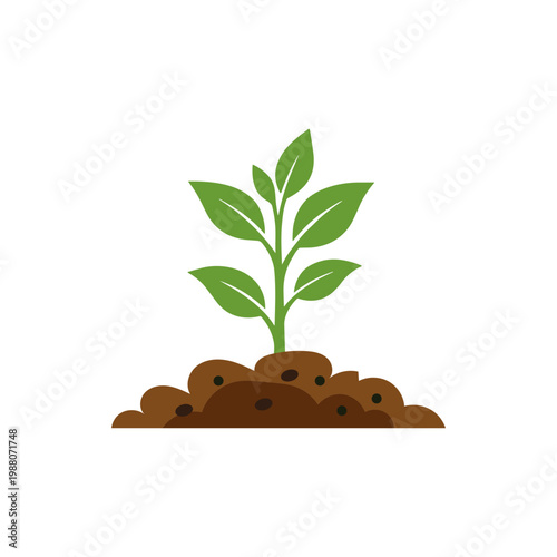 Growing Shoots Illustration