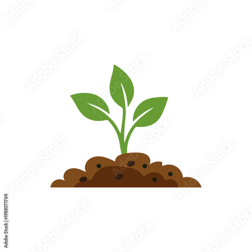 Growing Shoots Illustration