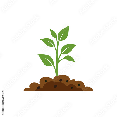 Growing Shoots Illustration