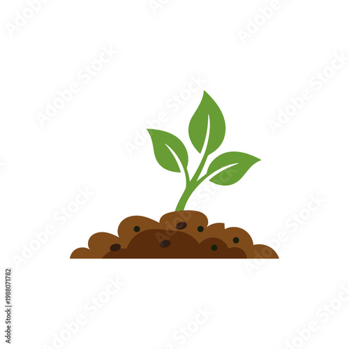 Growing Shoots Illustration