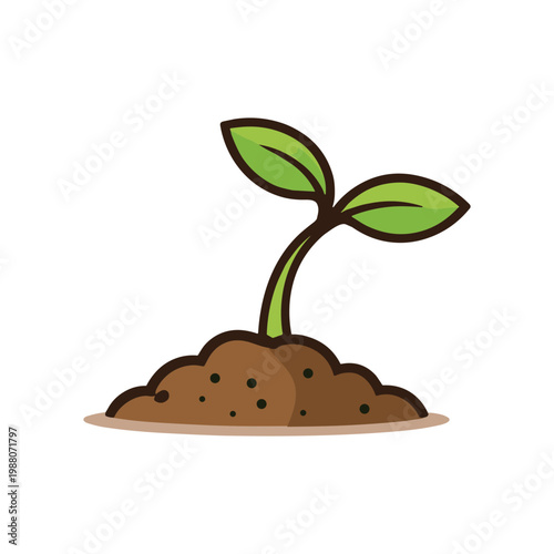 Growing Shoots Illustration