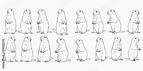 Prairie dog line art vector illustration set on transparent background.