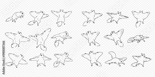 Set of cute flying squirrel illustrations in various poses.