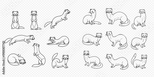 Set of cute weasels in various poses, hand-drawn vector illustration for design.