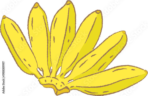Hand Drawn Digital Illustration of a Ripe Yellow Banana Bunch Isolated on White