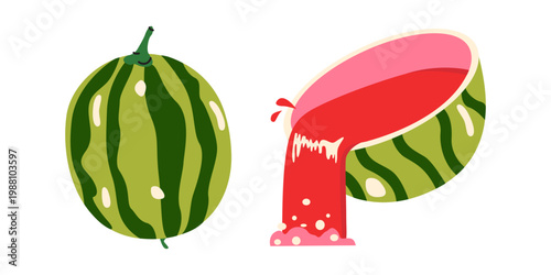 Vector cartoon illustration of a whole striped watermelon and a sliced watermelon with juice splashes isolated on a white background