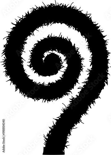 A meticulously captured Fern fiddlehead unfurls delicately against an immaculate white backdrop, its fuzzy green spiral encapsulated in fine brown hairs, exuding a sense of natural elegance and