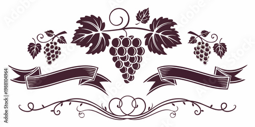 Vintage decorative grapevine with ribbon banner and grapes, vector