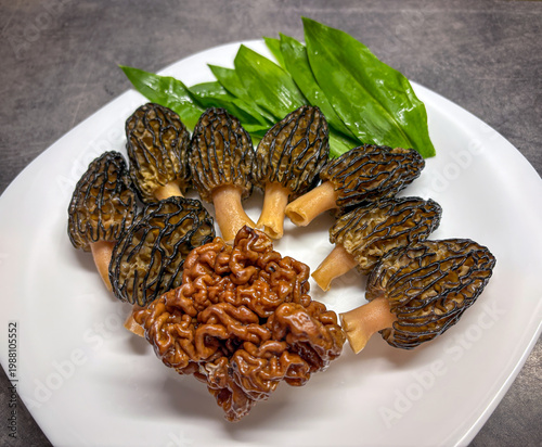 Morel and false morel mushrooms with green bear garlic leafs on white plate