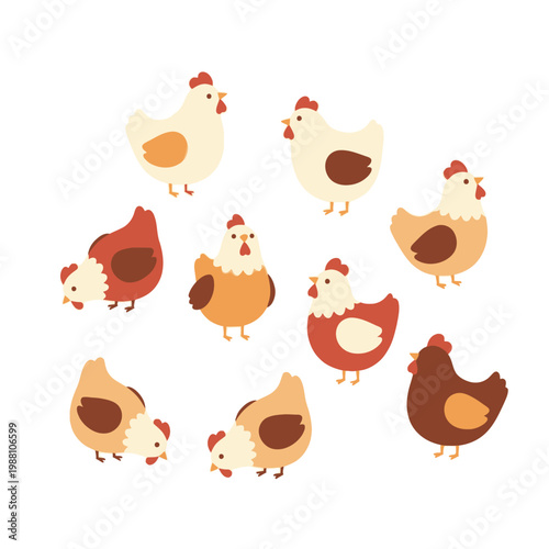 Cute cartoon chickens collection, farm animals, white background, flat design