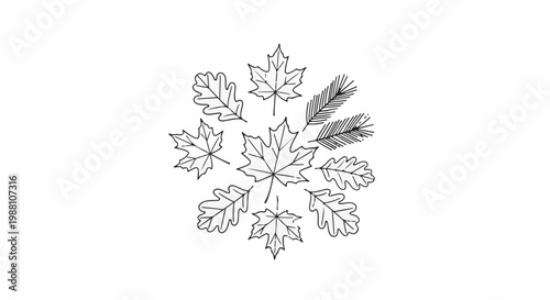 Circular arrangement of hand-drawn autumn leaves and pine needles