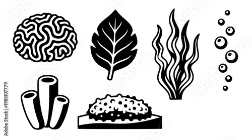 Black and white vector graphic illustration of nature elements