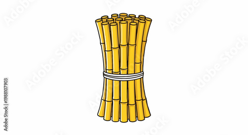 Bundle of yellow bamboo stalks tied with white rope
