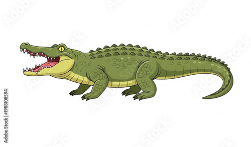 Zoo crocodile vector illustration isolated with cartoon reptile character