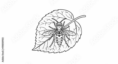 Detailed line drawing of a wasp on a textured leaf