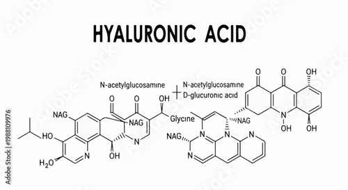 Diagram of hyaluronic acid's complex molecular structure with chemical labels