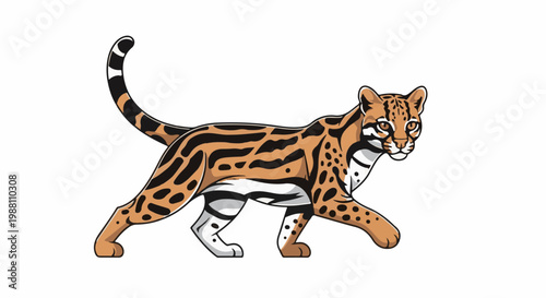 Animated ocelot with spotted coat, walking to the right on white background
