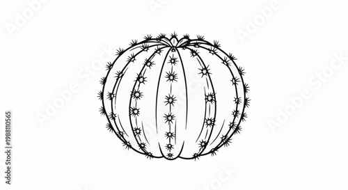 A minimalist line drawing of a spherical cactus with prominent spines