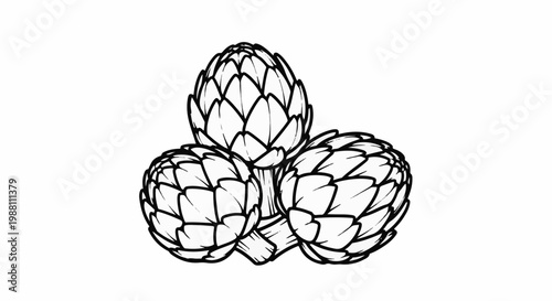 Three detailed line art drawings of artichokes arranged together