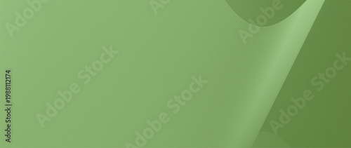 Abstract green horizontal banner with wide fluid wave and smooth organic curves. Minimalist sage green background for website headers, corporate presentations, and digital marketing materials.