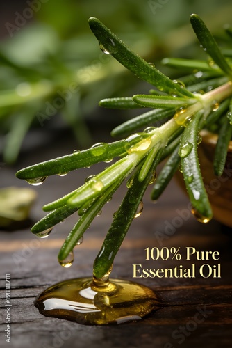 A close-up of rosemary sprigs with water droplets on a wooden surface with a puddle of golden essential oil