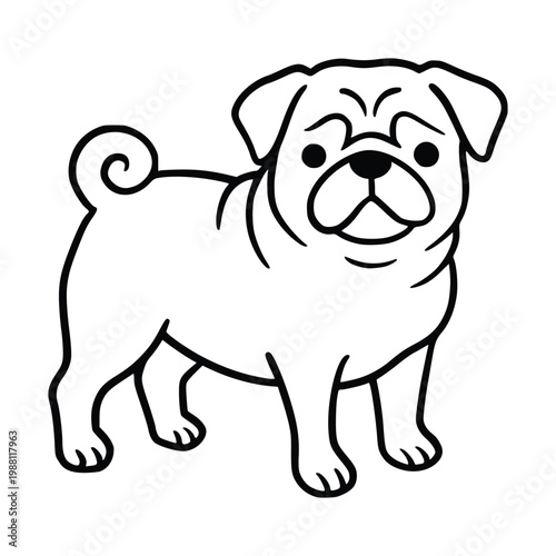 Cute Pug Dog Line Art Hand Drawn Illustration