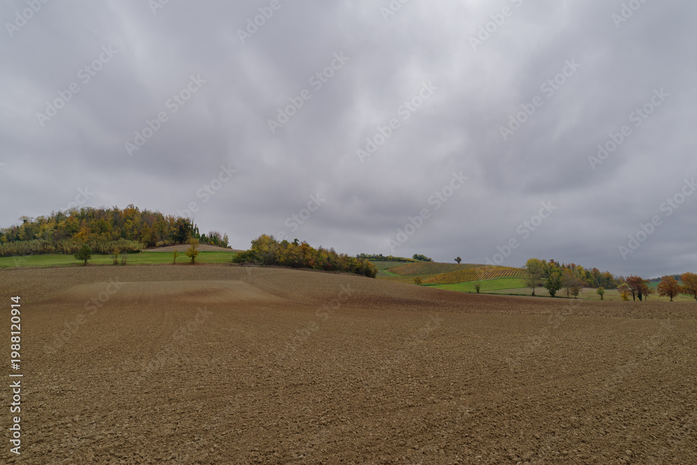 Fototapeta premium Rural landscape in Monferrato, Italy