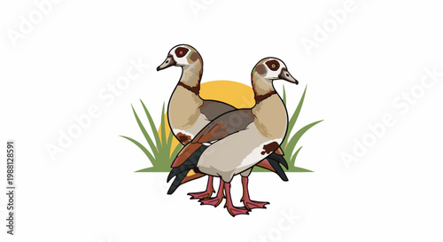 Two Egyptian geese standing near grass with a yellow sun