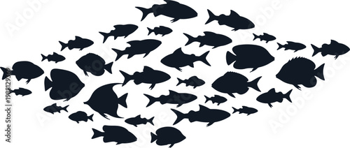 School of fish swimming in ocean silhouette underwater marine life diversity aquatic ecosystem group swimming.