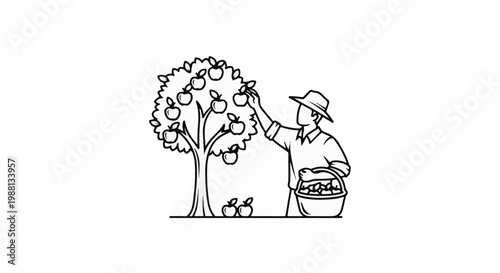 A person wearing a hat picks apples from a tree into a basket