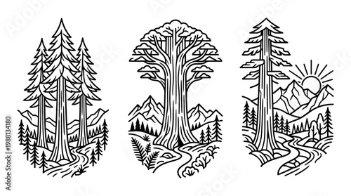 Line Art Forest Scenes With Trees Mountains and Rivers