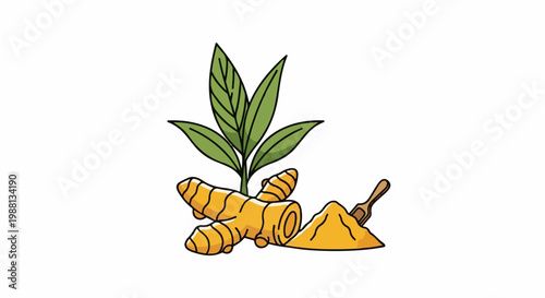 A stylized illustration of turmeric root, leaves, and powder with a scoop