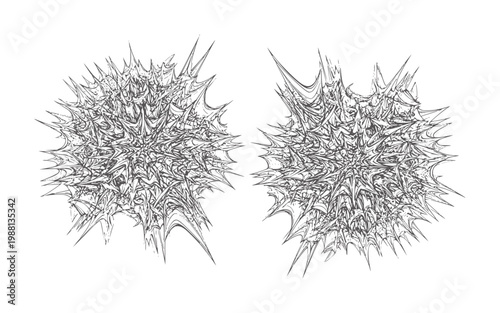 Two abstract spiky dark grey fractal forms white