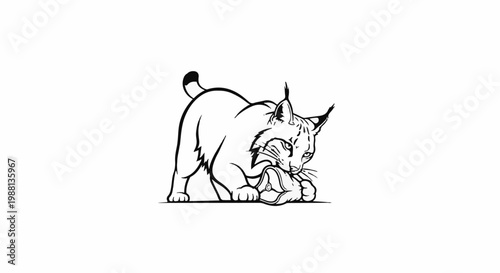 Line art of a bobcat holding and biting a fish