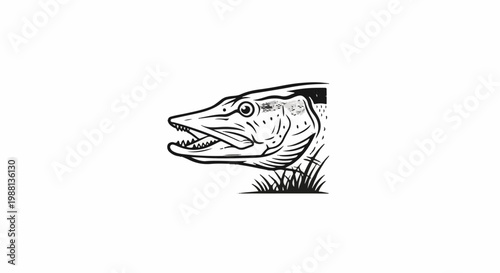 Detailed illustration of a pike fish head emerging from grass
