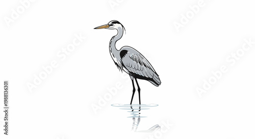 A single heron stands in shallow water with its reflection visible