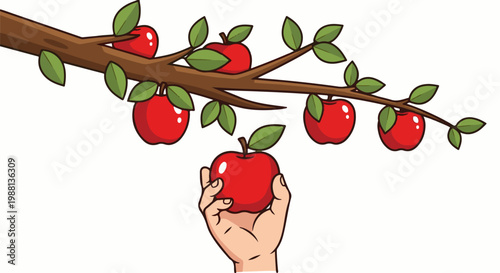 Hand reaching for a ripe apple on a branch
