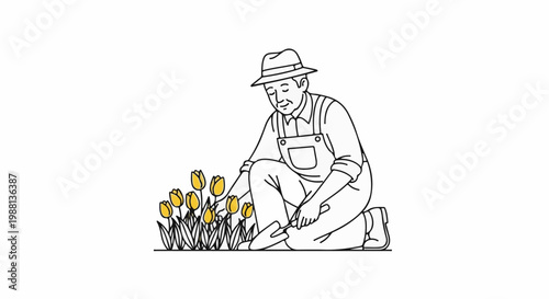 A gardener kneels tending to a patch of yellow tulips with a small trowel