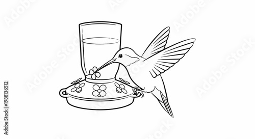Black and white line drawing of a hummingbird at a feeder
