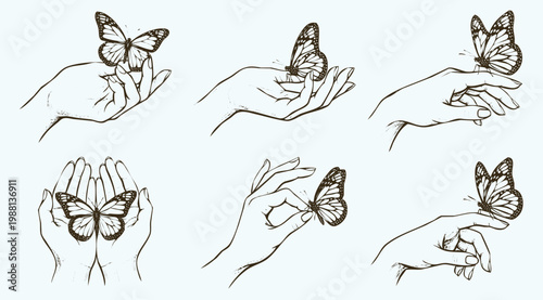 Hand Drawn Professional Illustration Set of Hands with Resting Butterfly