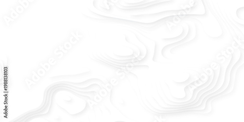 white topography map geography relief diagram texture design. Topography white background and black line world map texture design. Lines Topographic contour lines grid map seamless pattern.