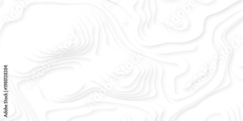 white topography map geography relief diagram texture design. Topography white background and black line world map texture design. Lines Topographic contour lines grid map seamless pattern.