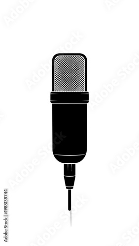 Black studio condenser microphone equipment.