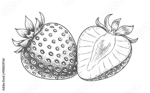 Of a whole strawberry and a halved strawberry fruit food vintage botanical