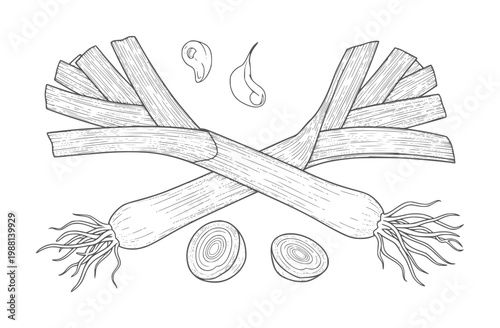 Two crossed leeks with sliced cross sections and garlic cloves vegetable food ingredient