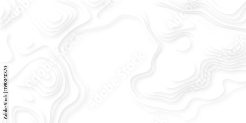 white topography map geography relief diagram texture design. Topography white background and black line world map texture design. Lines Topographic contour lines grid map seamless pattern.